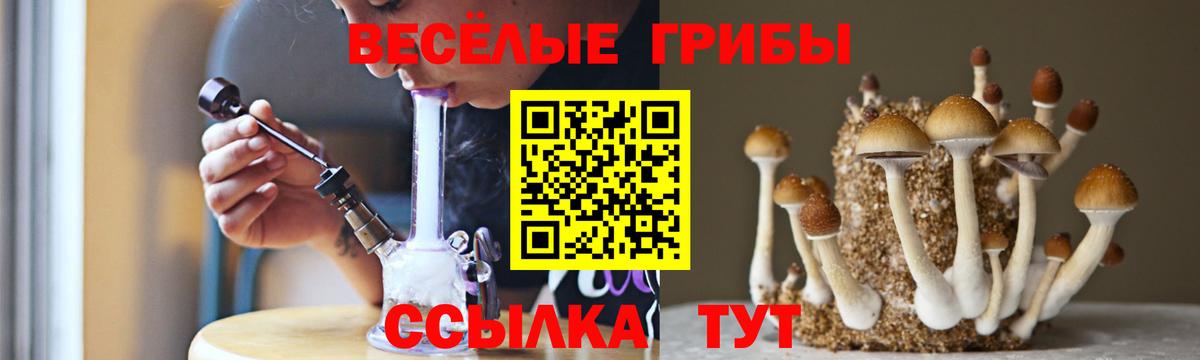 Псилоцибиновые грибы Cubensis Ефремов