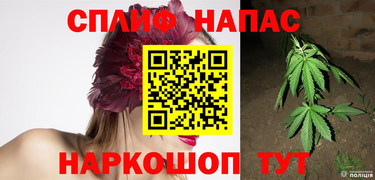 Канабис гибрид  Вход с VPN  Ефремов  Бошки марихуана ГИДРОПОН  Шишки марихуана White Widow  Каннабис Bruce Banner 